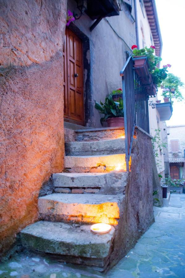 Vila Casa Flora Civitella dʼAgliano Exteriér fotografie