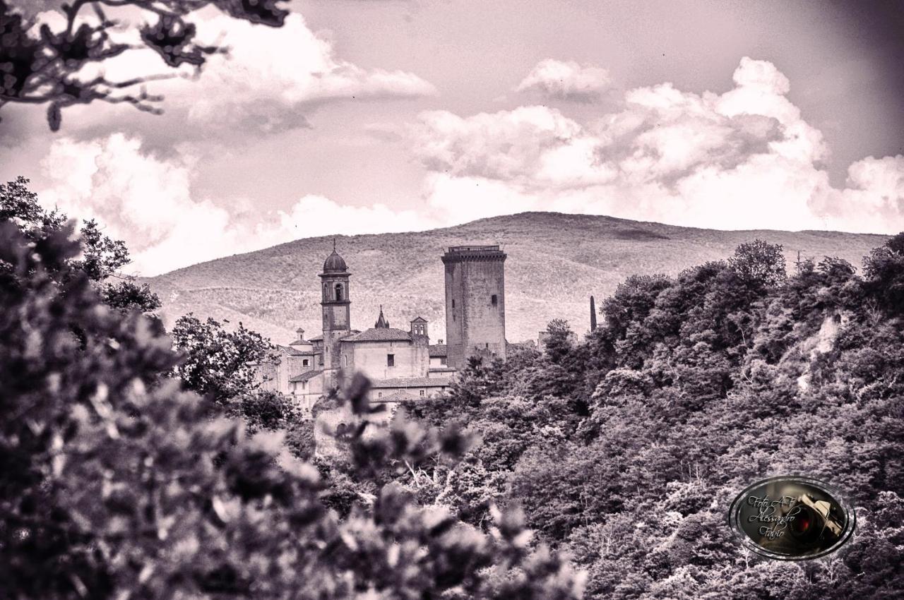 Vila Casa Flora Civitella dʼAgliano Exteriér fotografie
